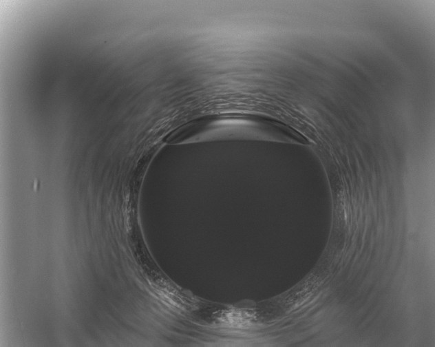 X0000058810223200510071736