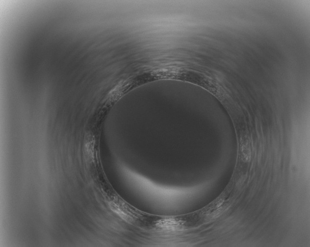 X0000058810231200510071736