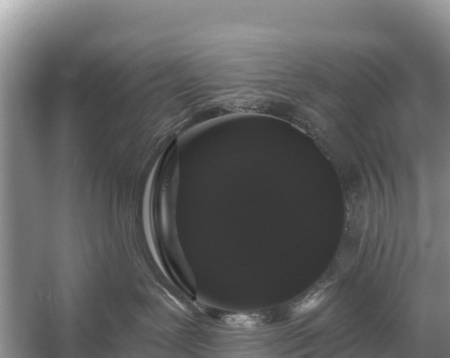 X0000058810239200510071736