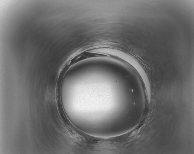 X0000058810244200510071735