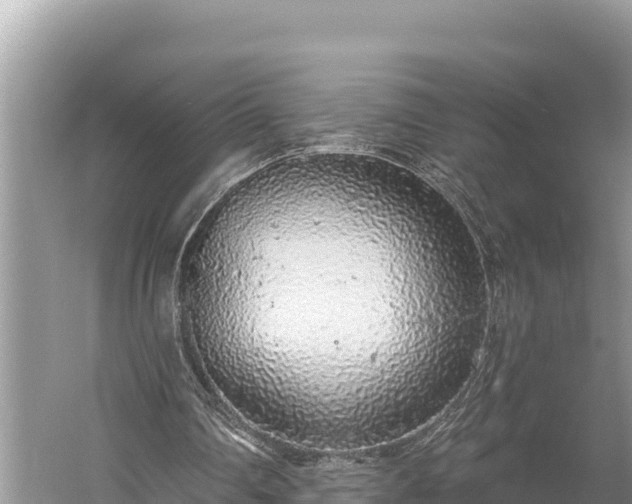 X0000058810290200510071735