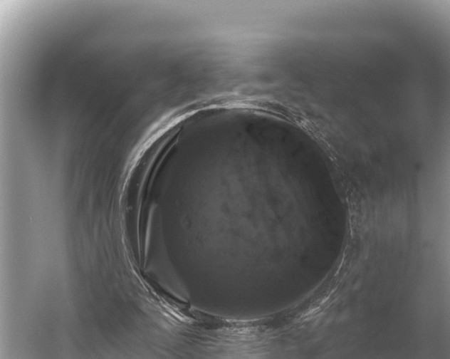X0000058810295200510071735