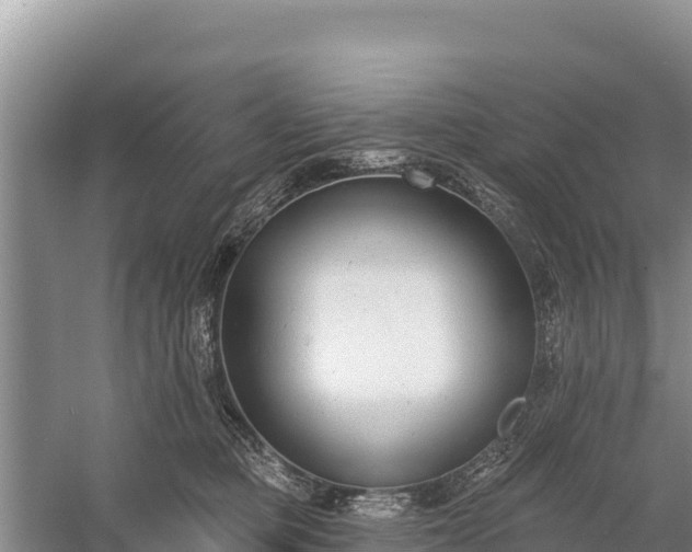 X0000058810373200510071734