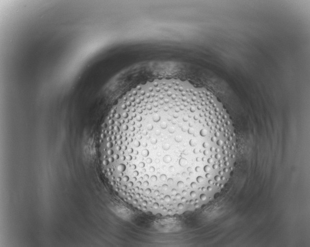 X0000058810431200510071733