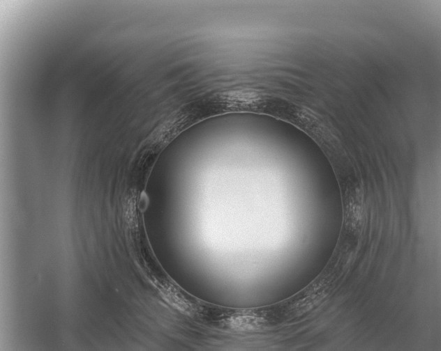 X0000058810468200510071732
