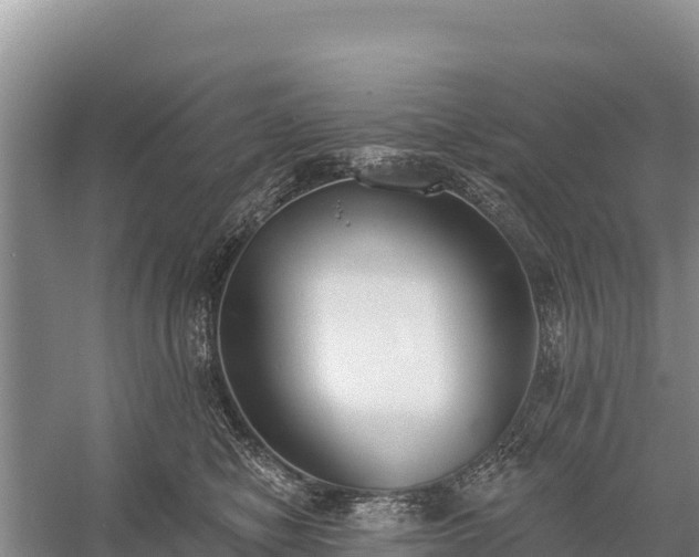 X0000058810470200510071732