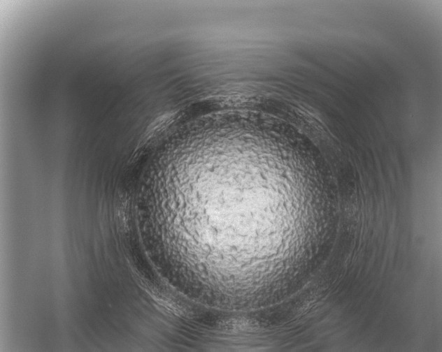 X0000058810503200510071731