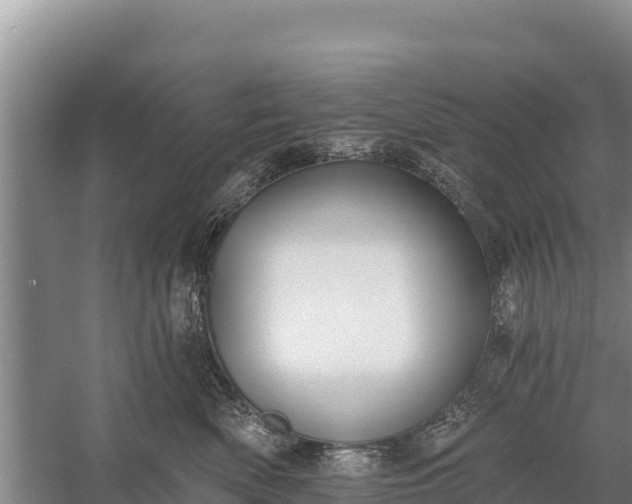 X0000058810522200510071731