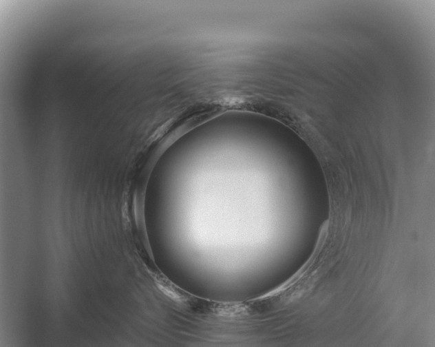 X0000058810576200510071731