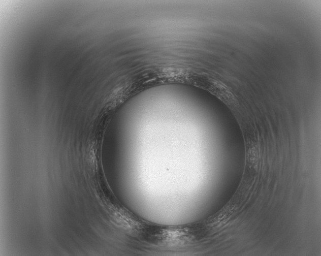 X0000058810662200510071729