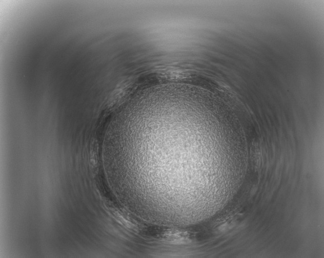 X0000058810760200510071728