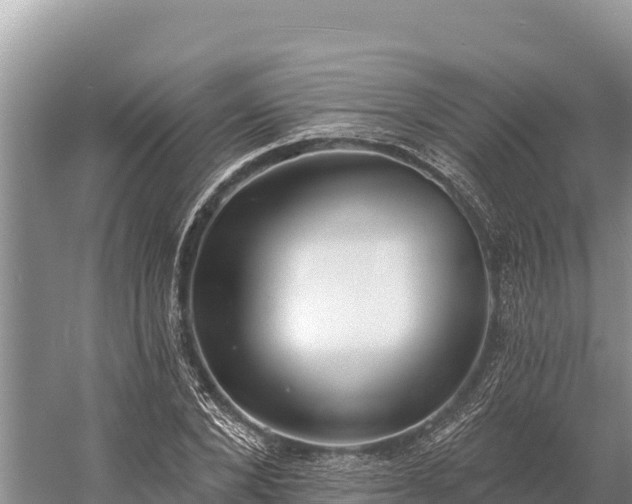 X0000058810880200510071725