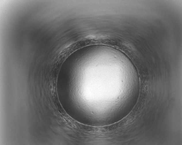 X0000058810966200510071724