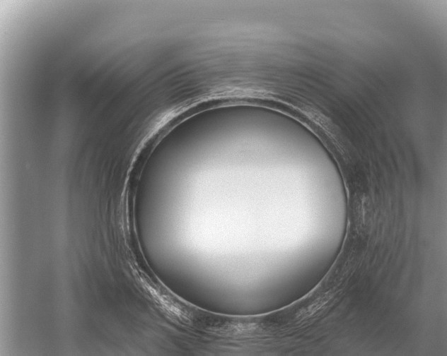 X0000058810982200510071723