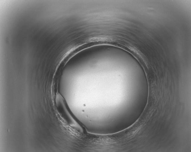 X0000058810983200510071723