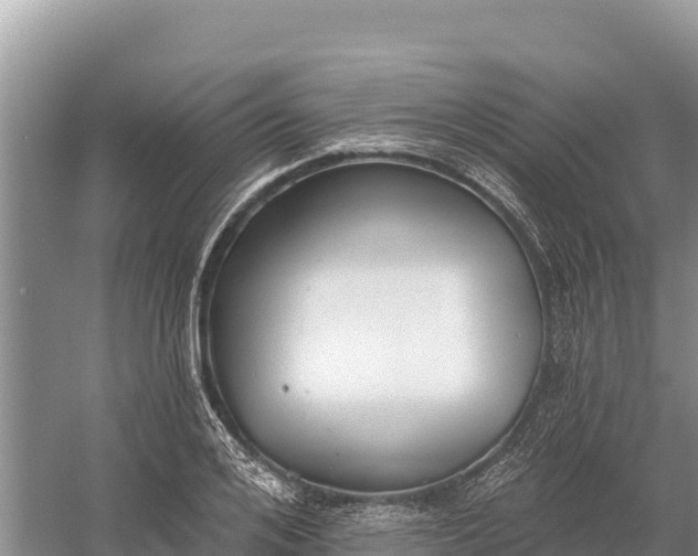 X0000058810984200510071723