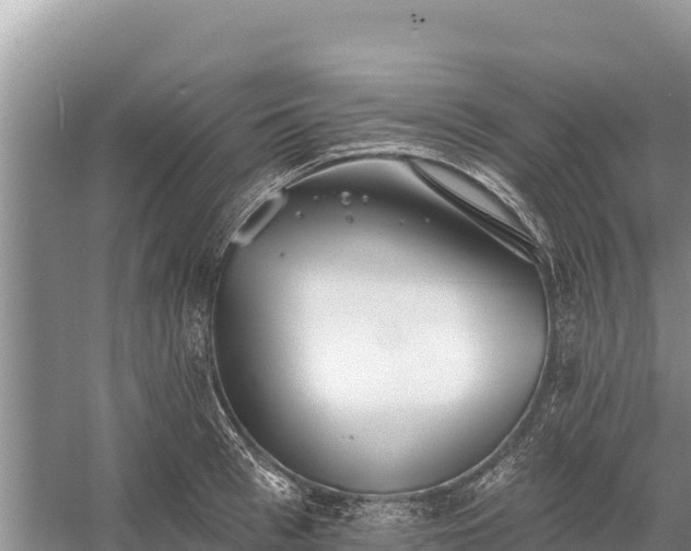 X0000058810993200510071723