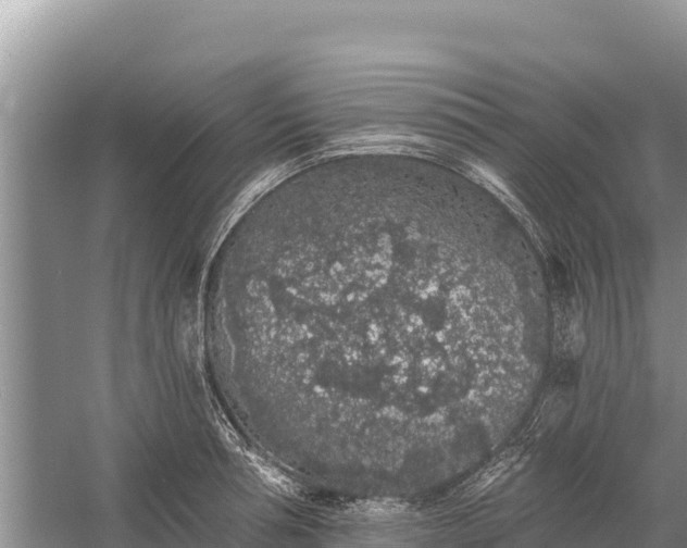 X0000058810994200510071723