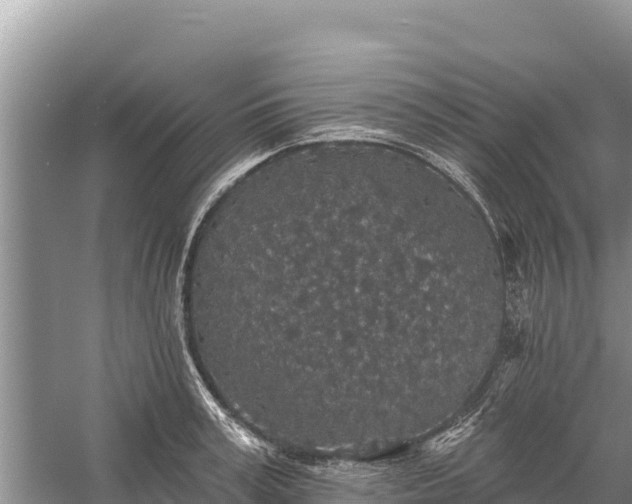 X0000058810995200510071723