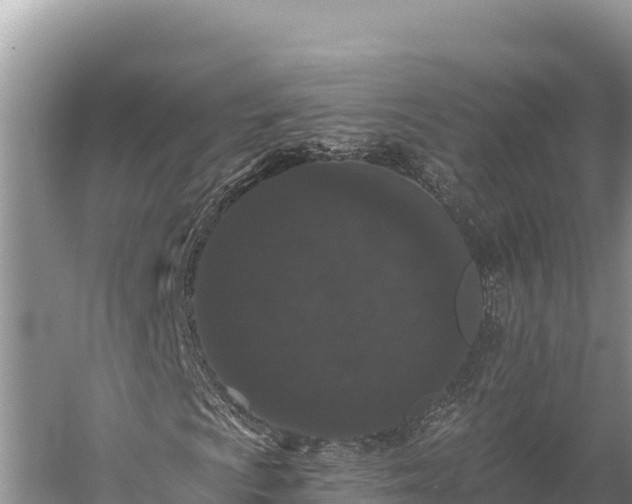 X0000058811009200510071722