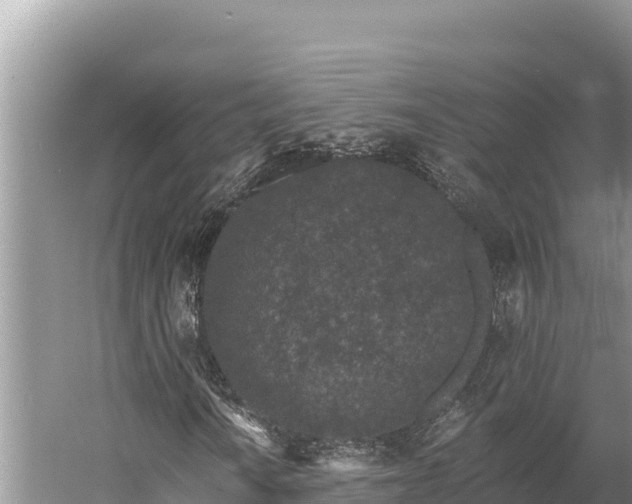 X0000058811010200510071722