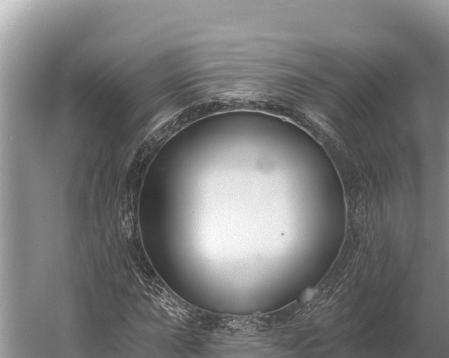 X0000058811015200510071722