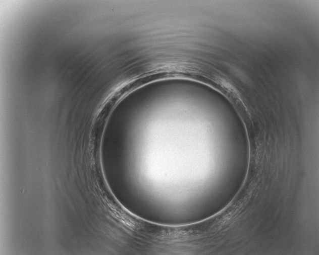 X0000058811019200510071722