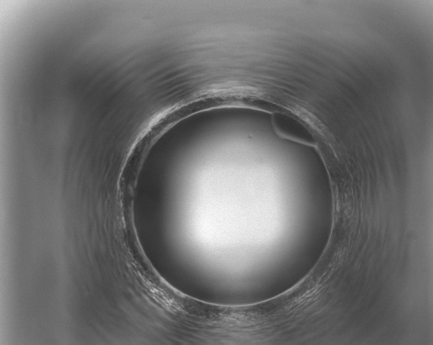 X0000058811022200510071722