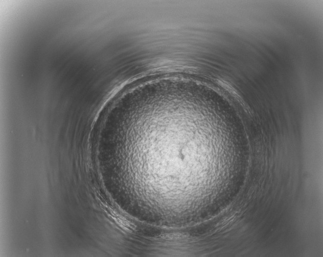 X0000058811023200510071722