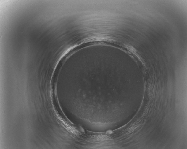 X0000058811024200510071722