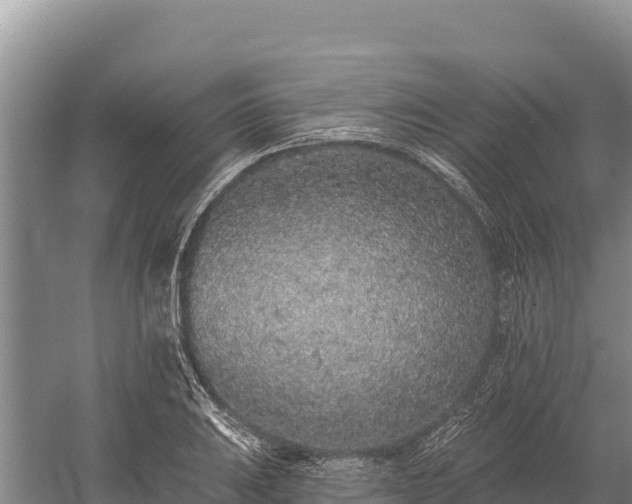 X0000058811031200510071722