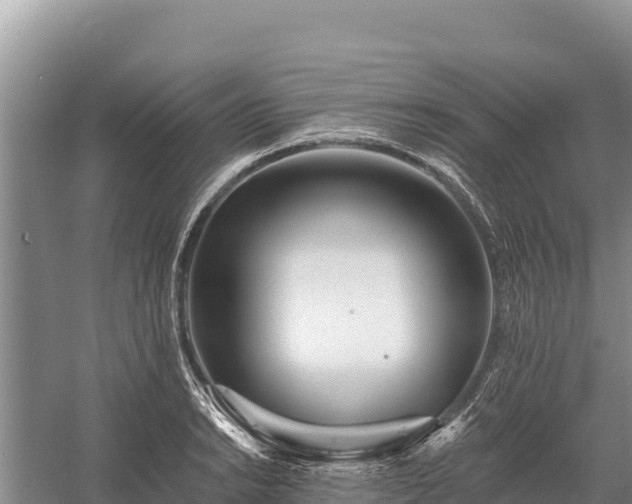 X0000058811038200510071723