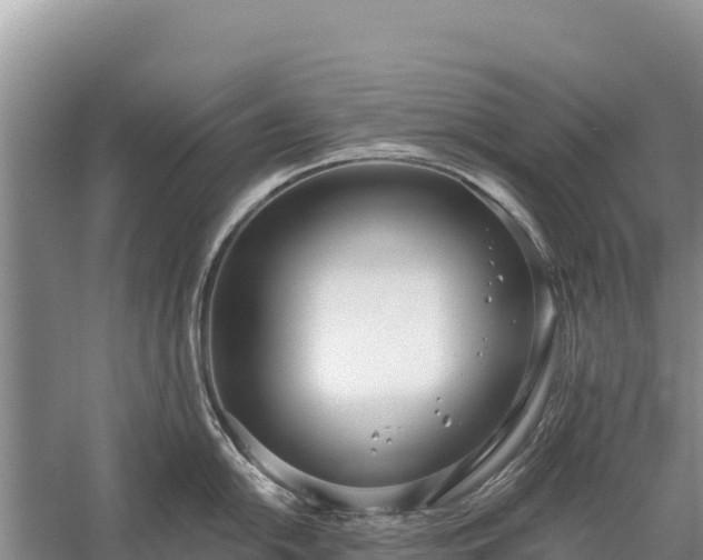 X0000058811054200510071723