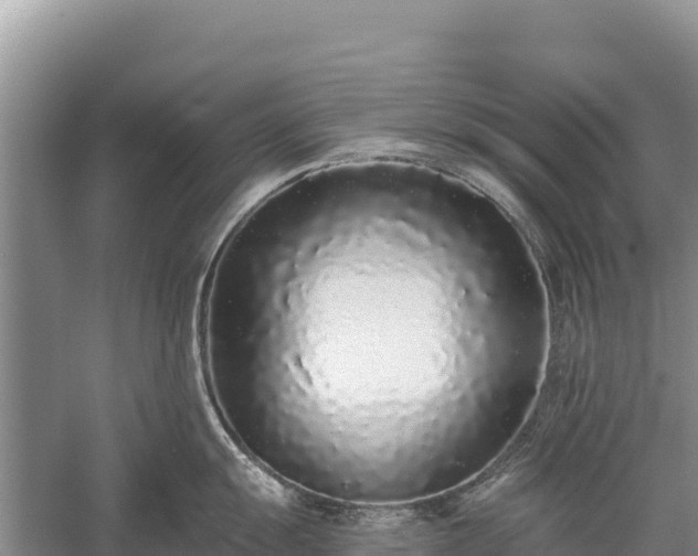 X0000058811055200510071723