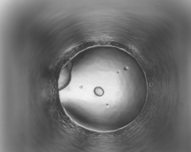 X0000058811063200510071722