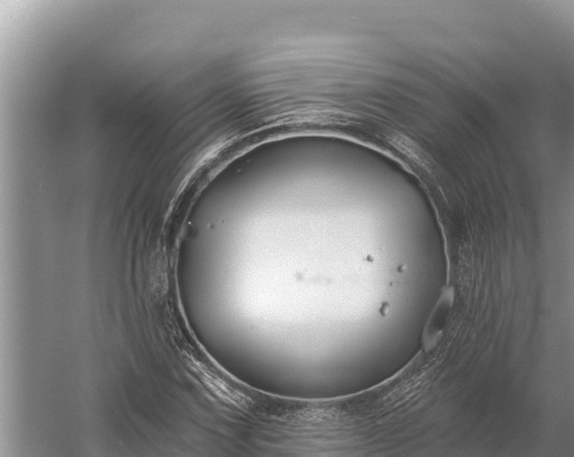 X0000058811067200510071722