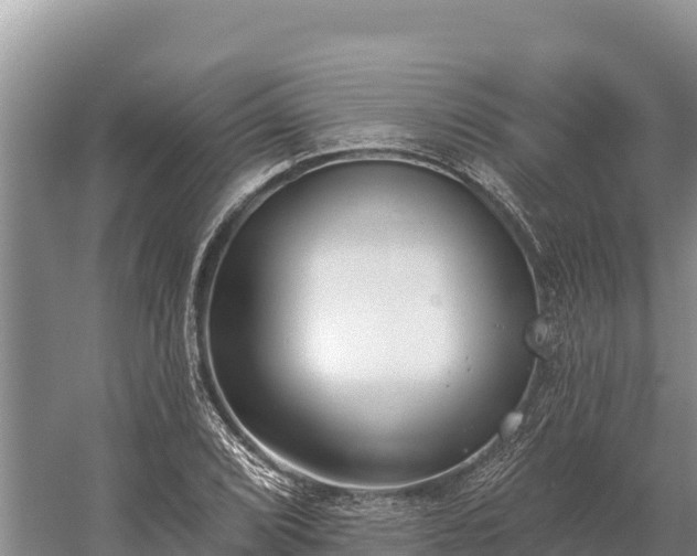 X0000058811072200510071722