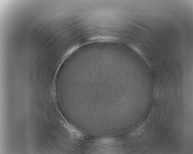 X0000058811074200510071722