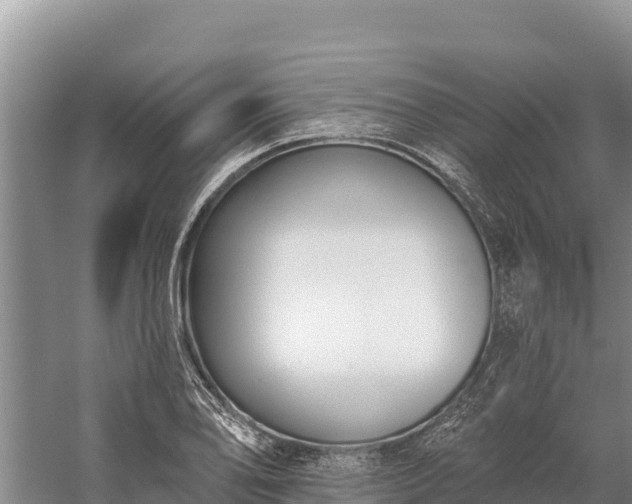 X0000058811078200510071722