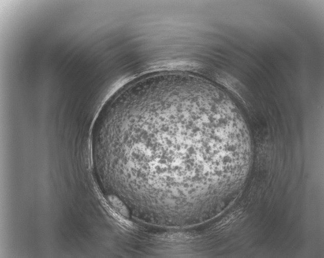 X0000058811079200510071722