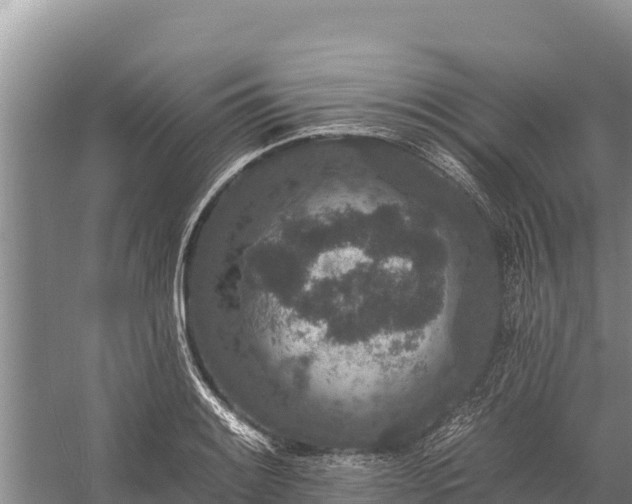 X0000058811084200510071722