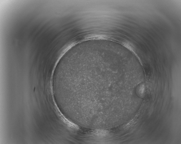 X0000058811090200510071722