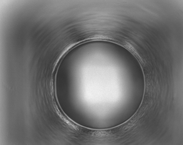 X0000058811092200510071721