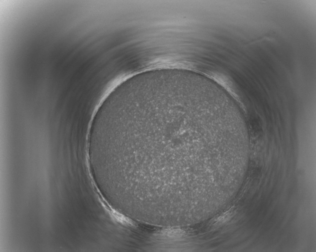 X0000058811094200510071721