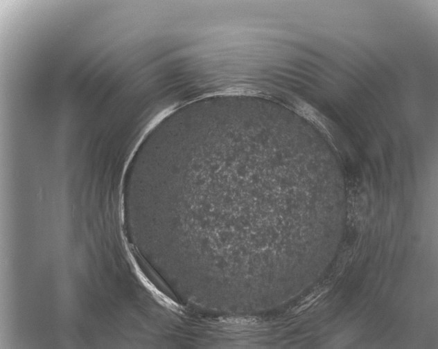 X0000058811095200510071721