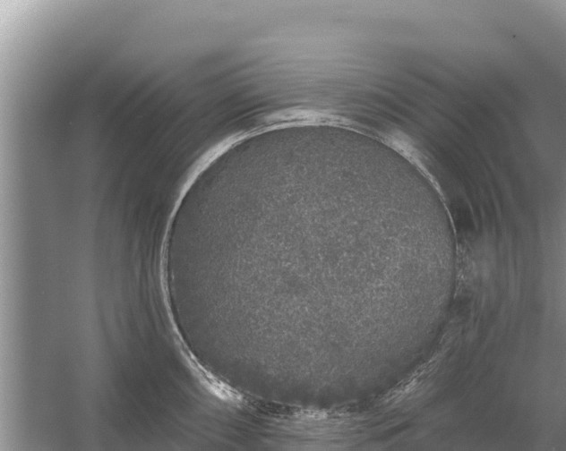 X0000058811098200510071721