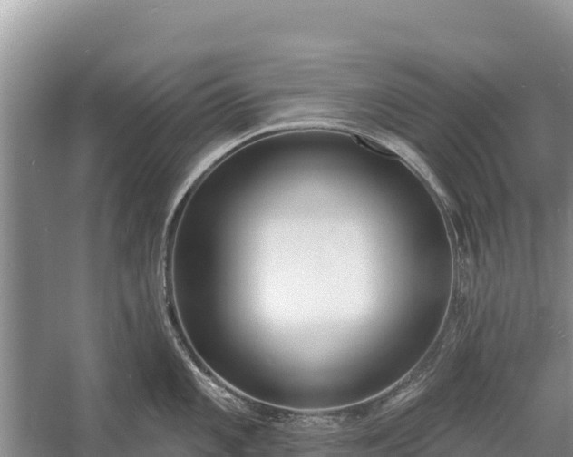 X0000058811101200510071721