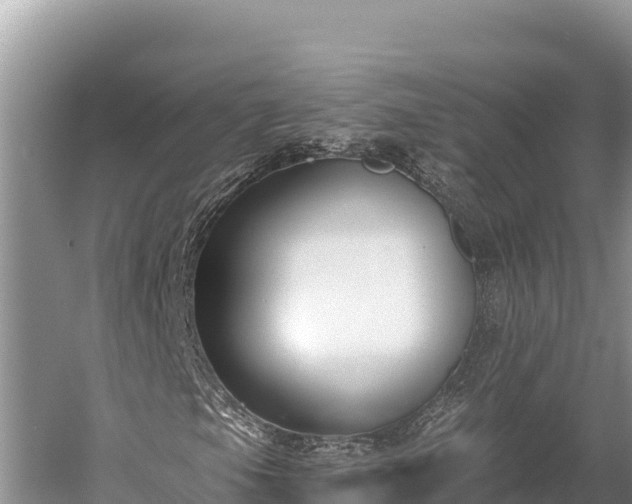 X0000058811105200510071720