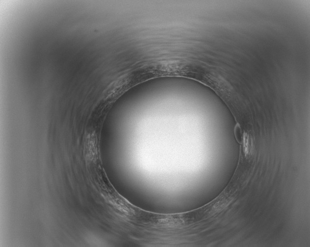 X0000058811107200510071720