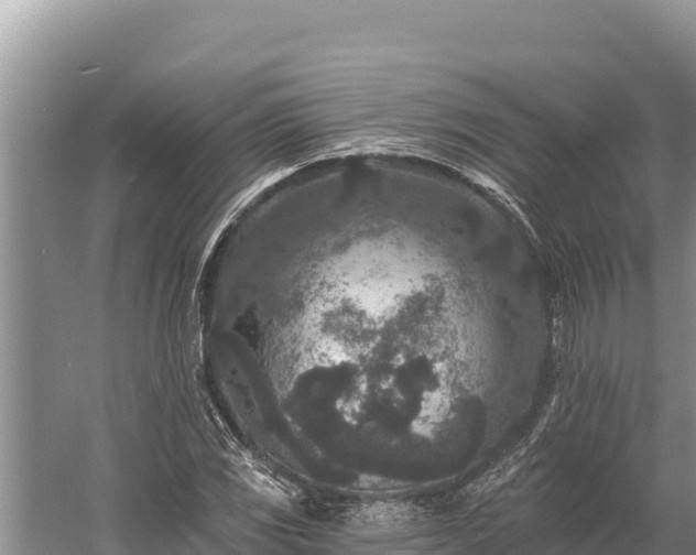 X0000058811117200510071721